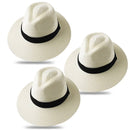 Chapeau type Panama