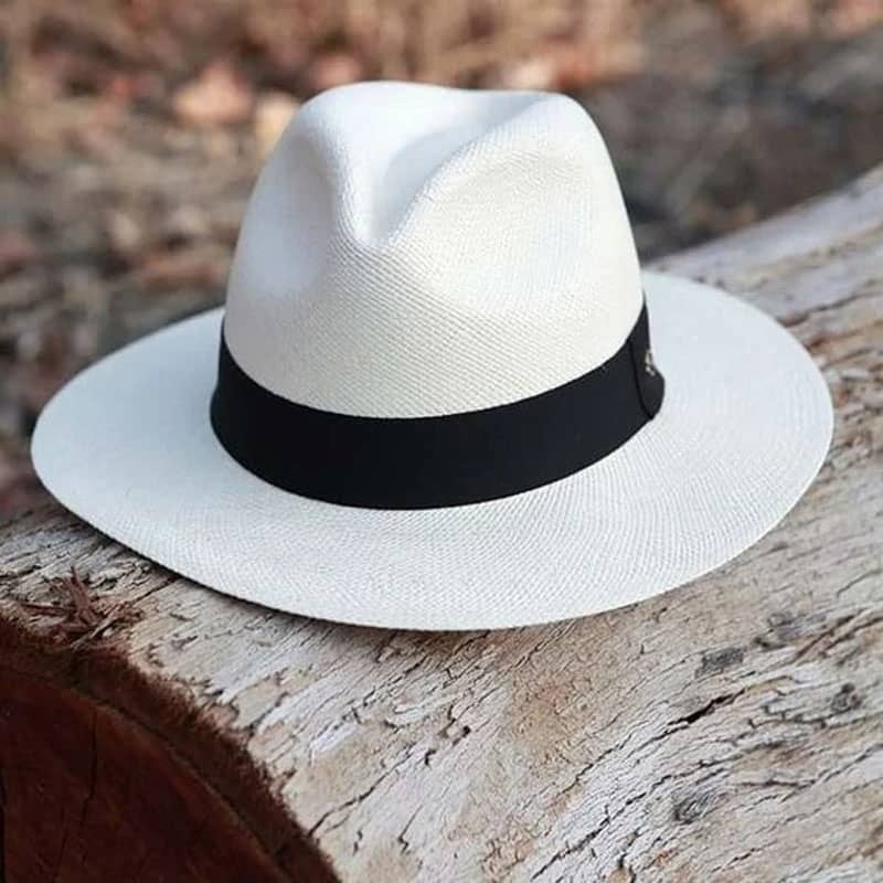 Chapeau type Panama