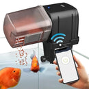 Alimentateur Automatique pour Poissons