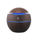 Humidificateur d'Air Portable